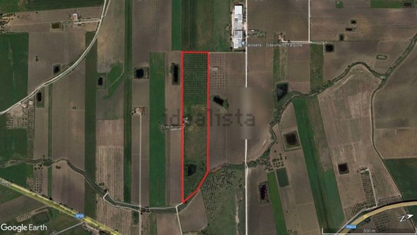 casa indipendente in vendita a Monreale