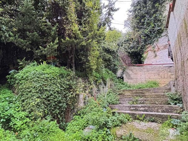 terreno agricolo in vendita a Monreale in zona San Martino delle Scale