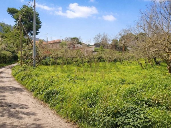 terreno agricolo in vendita a Monreale