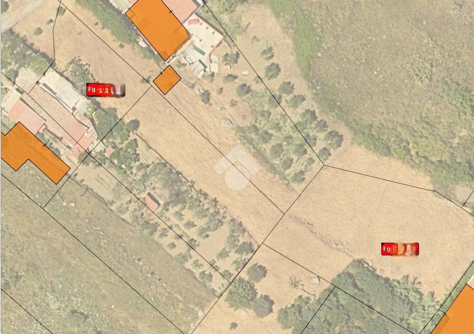 terreno agricolo in vendita a Monreale