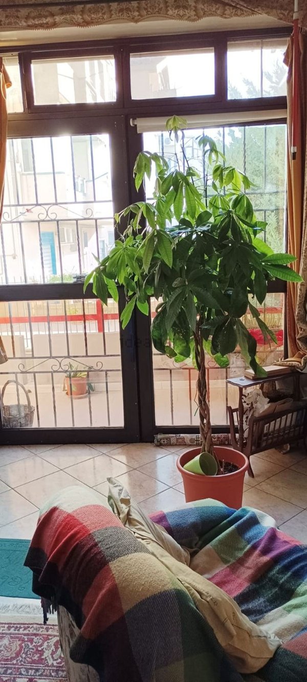 appartamento in vendita a Monreale