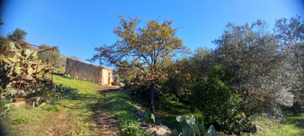 casa indipendente in vendita a Monreale in zona Monte Caputo
