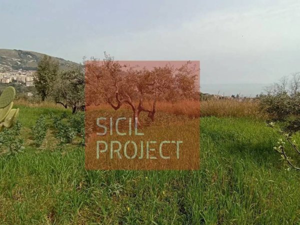 terreno agricolo in vendita a Monreale