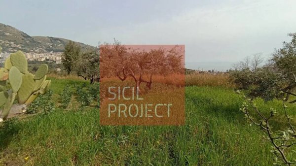 terreno agricolo in vendita a Monreale