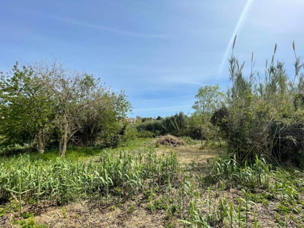 terreno agricolo in vendita a Monreale