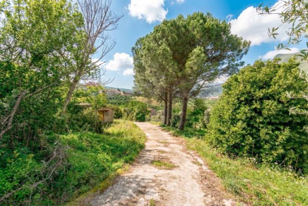 casa indipendente in vendita a Monreale in zona Giacalone
