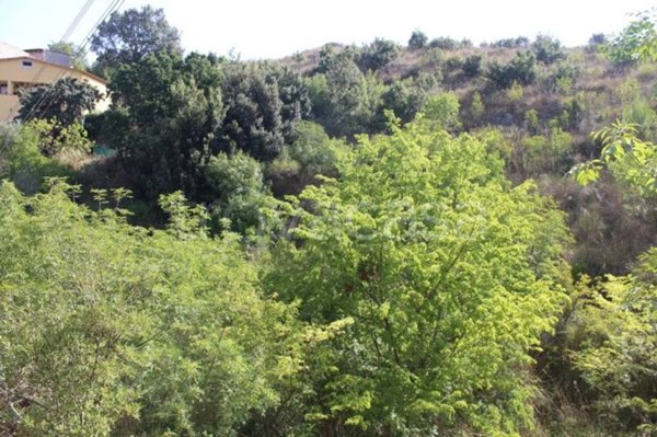 terreno agricolo in vendita a Monreale in zona San Martino delle Scale