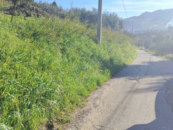 terreno agricolo in vendita a Monreale