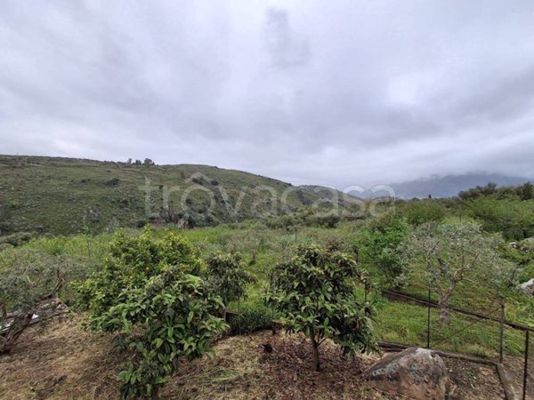 casa indipendente in vendita a Monreale