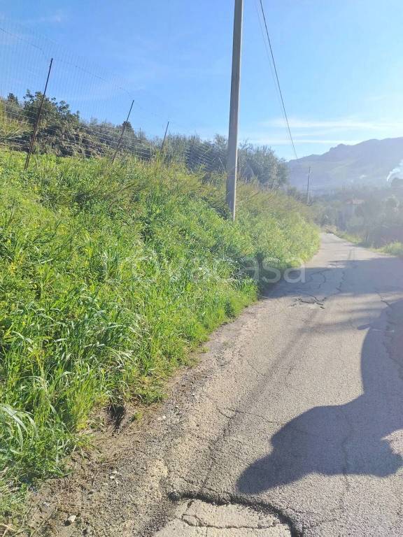 terreno agricolo in vendita a Monreale