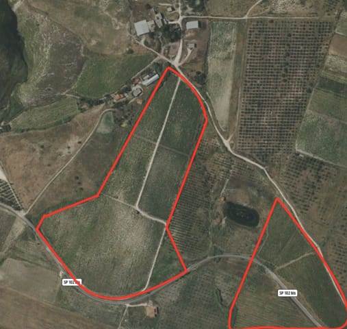 terreno agricolo in vendita a Monreale