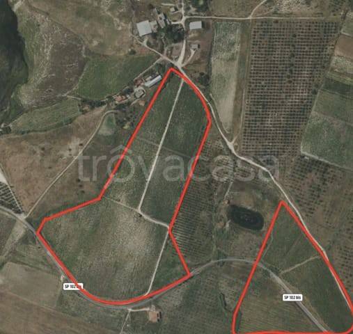 terreno agricolo in vendita a Monreale