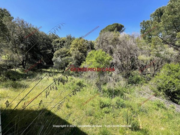 terreno agricolo in vendita a Monreale in zona Montefiascone