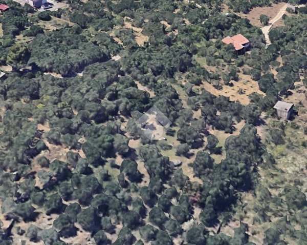 terreno agricolo in vendita a Monreale in zona Fontana Lupo/Ponte Parco