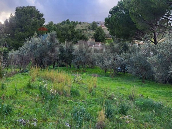 terreno agricolo in vendita a Monreale in zona San Martino delle Scale