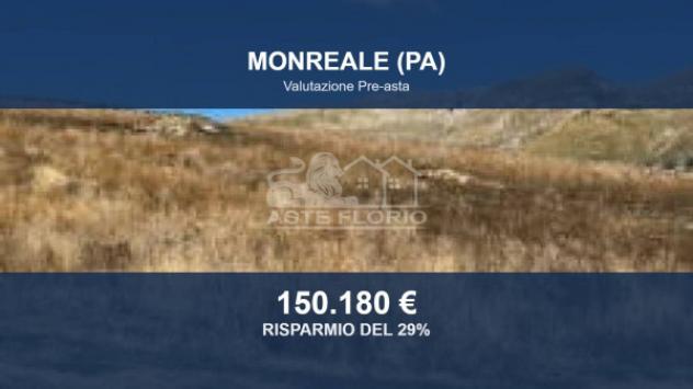 terreno agricolo in vendita a Monreale