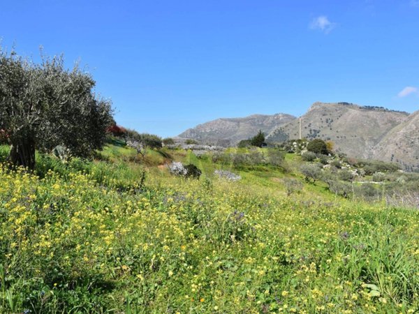 terreno agricolo in vendita a Monreale