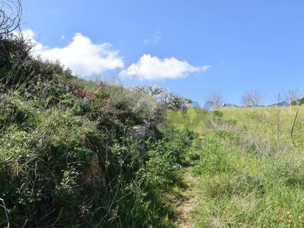 terreno agricolo in vendita a Monreale