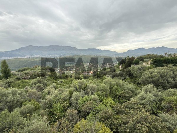 terreno agricolo in vendita a Monreale