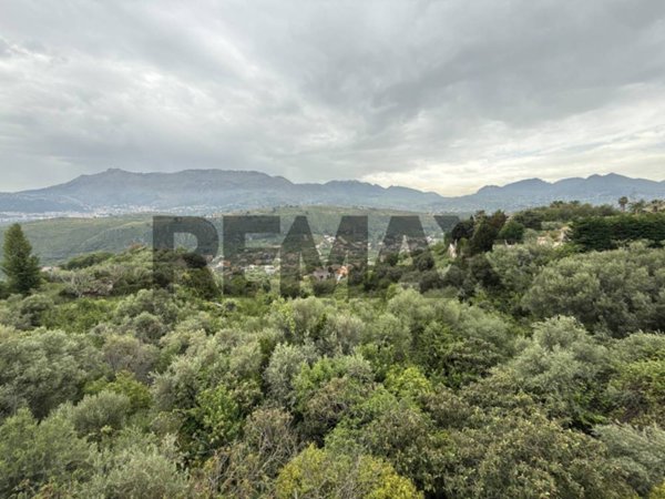 terreno agricolo in vendita a Monreale in zona Fontana Lupo/Ponte Parco