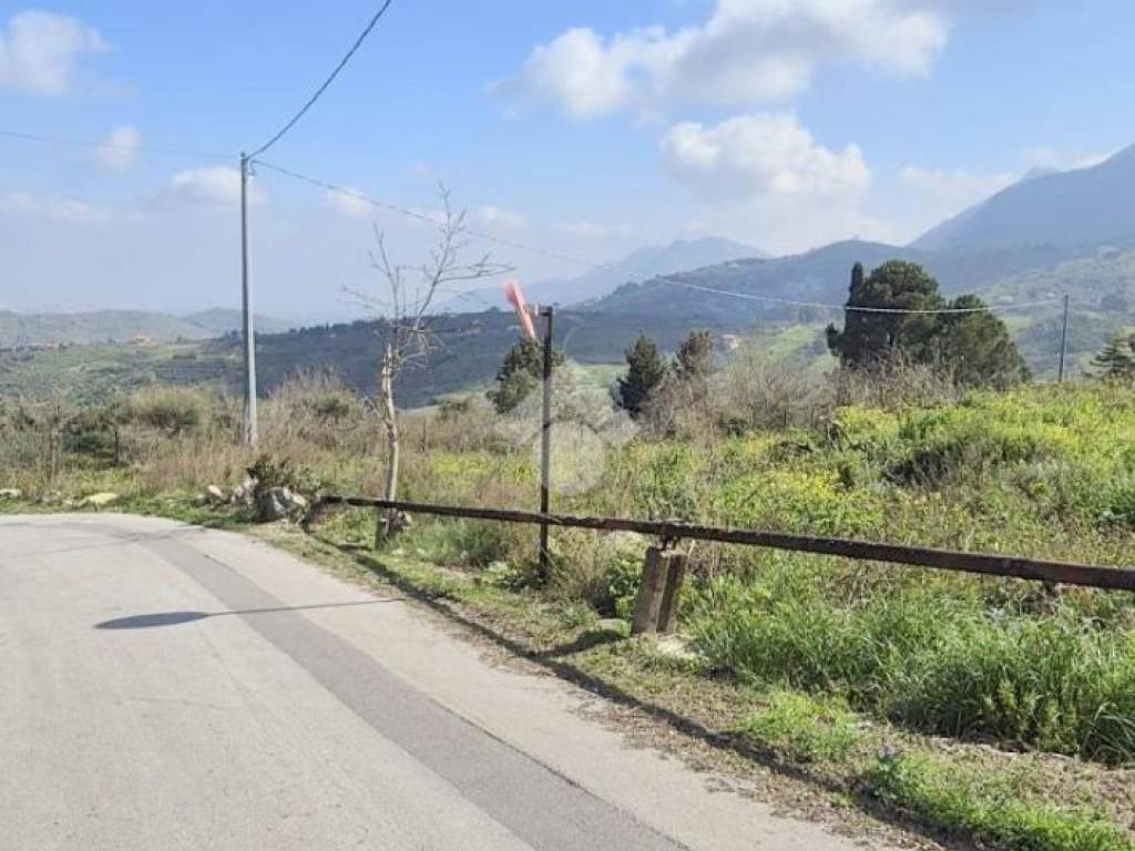 terreno agricolo in vendita a Monreale