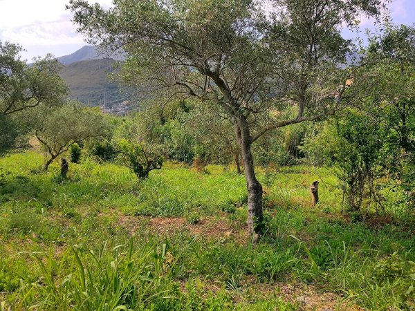 terreno edificabile in vendita a Monreale