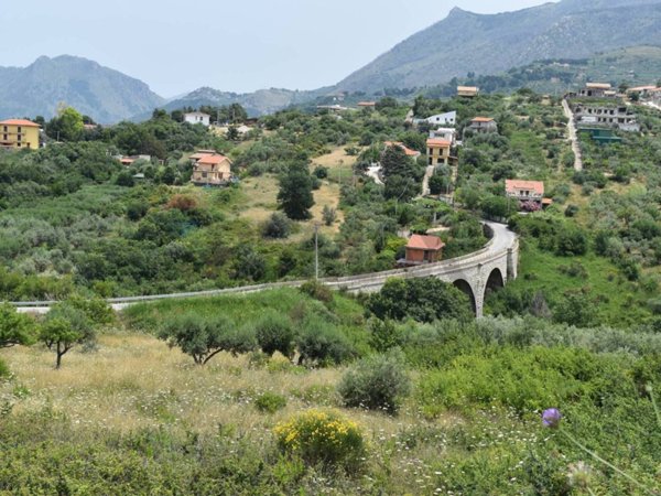 terreno agricolo in vendita a Monreale
