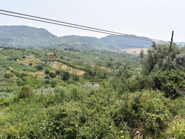 terreno agricolo in vendita a Monreale