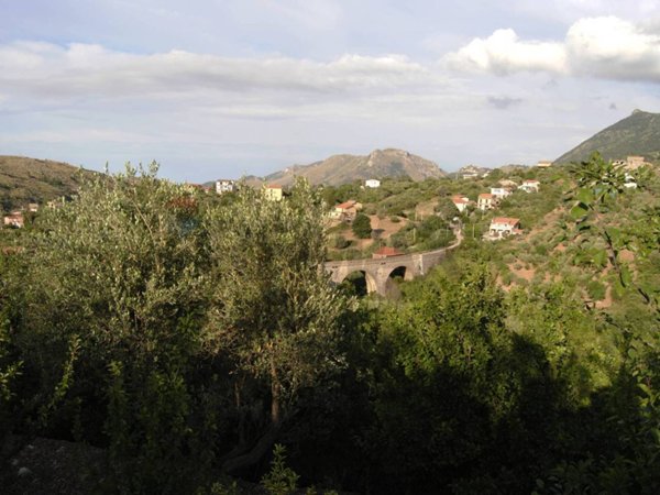 terreno agricolo in vendita a Monreale