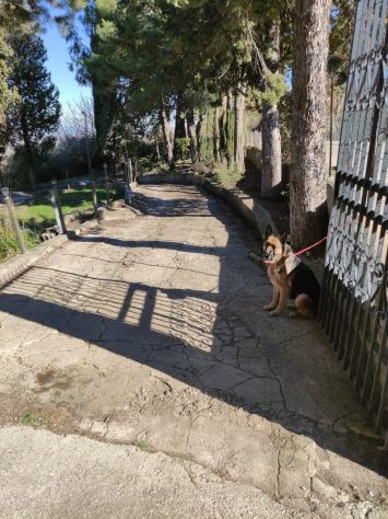 casa indipendente in vendita a Monreale