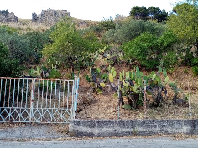 terreno agricolo in vendita a Montelepre