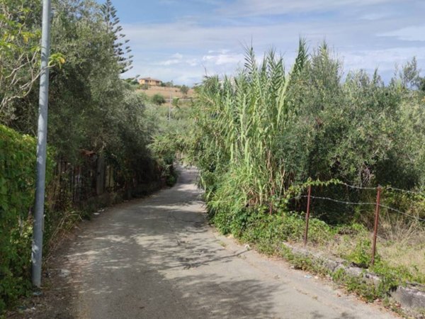 terreno agricolo in vendita a Montelepre