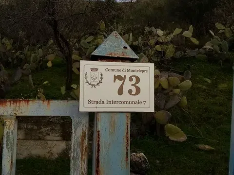 terreno agricolo in vendita a Montelepre