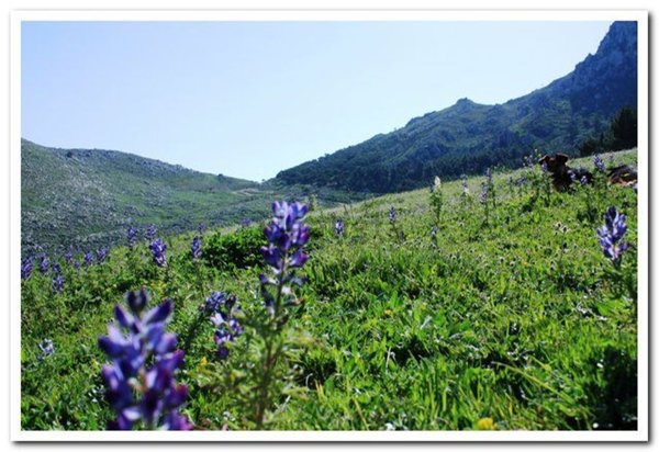 rudere in vendita a Montelepre