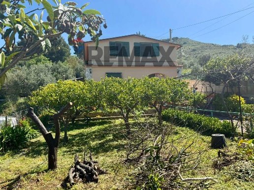 casa indipendente in vendita a Montelepre