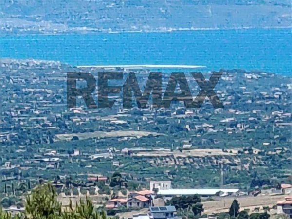 appartamento in vendita a Montelepre