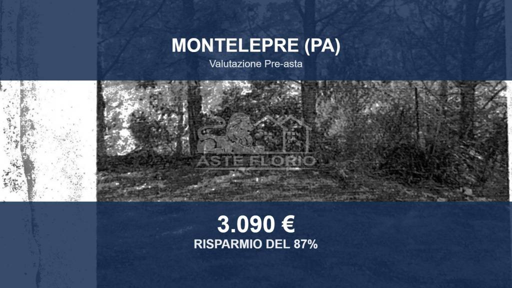 terreno in vendita a Montelepre