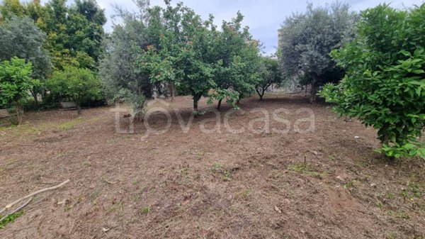 terreno agricolo in vendita a Palermo in zona Altarello