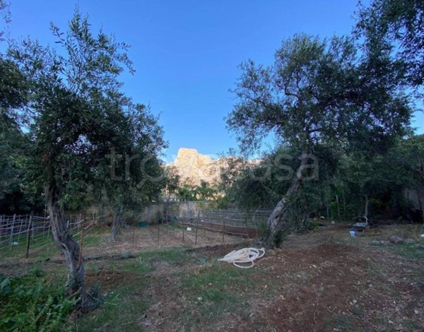 terreno agricolo in vendita a Palermo in zona Cruillas
