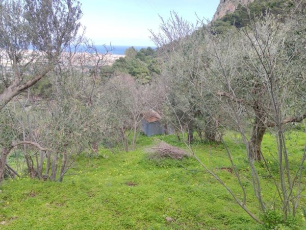 terreno agricolo in vendita a Palermo in zona Villagrazia/Falsomiele