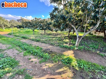 terreno agricolo in vendita a Palermo