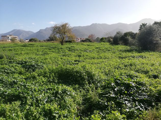 terreno agricolo in vendita a Palermo in zona Mezzomonreale