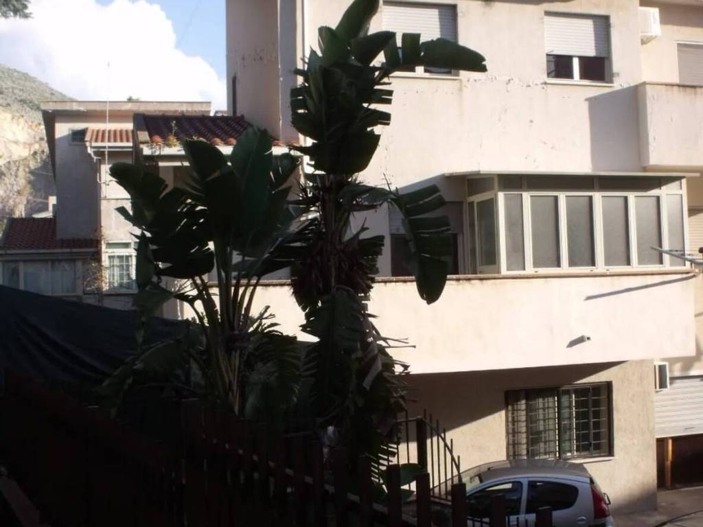 casa indipendente in vendita a Palermo in zona Borgo Nuovo