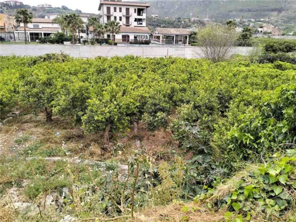 terreno edificabile in vendita a Palermo