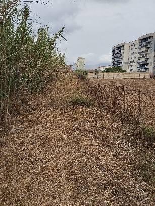 terreno agricolo in vendita a Palermo in zona Ciaculli
