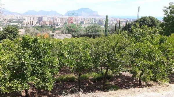 terreno agricolo in vendita a Palermo in zona Villagrazia/Falsomiele