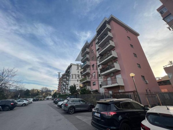 appartamento in vendita a Palermo in zona Borgo Nuovo