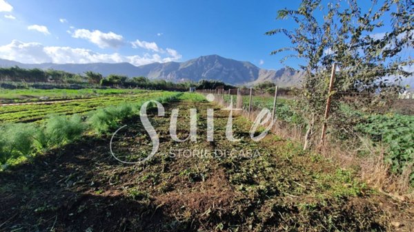 terreno agricolo in vendita a Palermo in zona Ciaculli