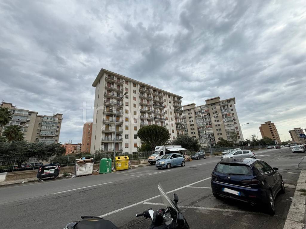 immagine annuncio 0 di 1