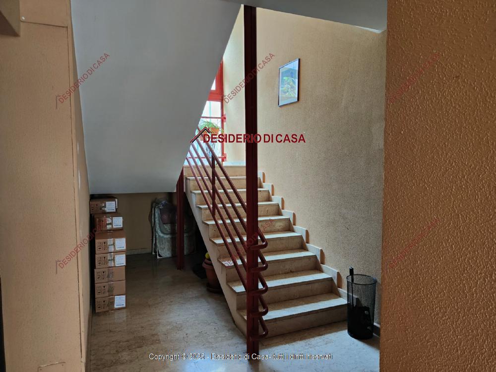 immagine annuncio 0 di 15